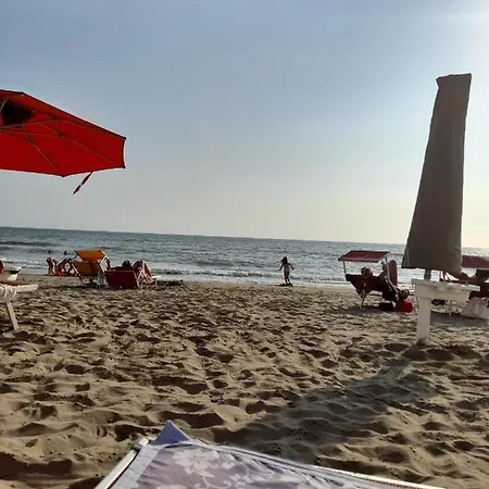 Dei Delfini Sul Mare Di Roma -free Parking Passoscuro